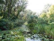 Кушугум з panoramio.com