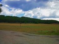 Голубинка з panoramio.com