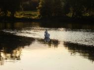 Комишуваха з panoramio.com