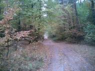 Полянь з panoramio.com