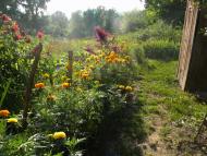 Пеніжкове з panoramio.com