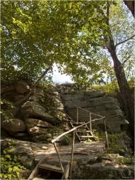 Буки з panoramio.com