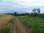 Александро-Беловка - Последние фото