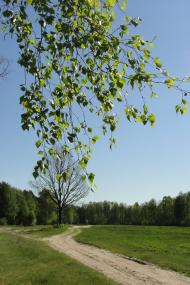 Гайове з panoramio.com