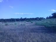 Станично-Луганське з panoramio.com (ч.2)