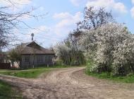 Петрівка з panoramio.com