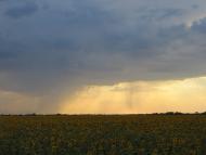 Степанівка - Останні фото