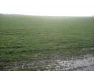 Губенське з panoramio.com