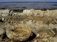 Михайлівка з panoramio.com