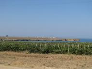 Піщане з panoramio.com