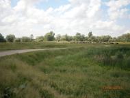 Берездівці з panoramio.com