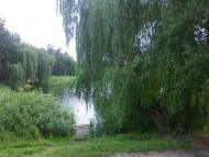 Красний Лиман з panoramio.com