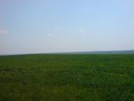 Балкове - Останні фото