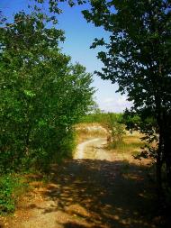 Поштове з panoramio.com