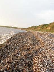 Анатолівка - Останні фото