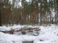 Пилиповичі з panoramio.com