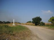 Журавки з panoramio.com