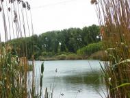 Чехівка з panoramio.com