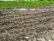 Тернавка - Останні фото