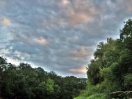 Омельник з panoramio.com