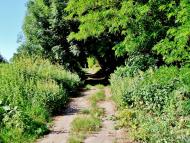 Козацьке - Останні фото