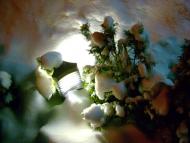 Козин з panoramio.com