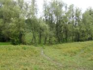 Шевченкове з panoramio.com