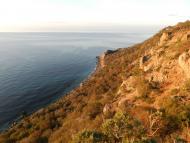 Данилівка з panoramio.com