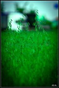 Бармаки з panoramio.com