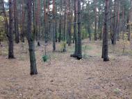 Гостомель з panoramio.com