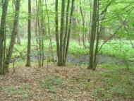 Ставчани з panoramio.com