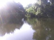 Петровського - Останні фото