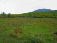 Нагірне з panoramio.com