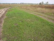 Борщів з panoramio.com