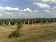 Сонячний - Останні фото