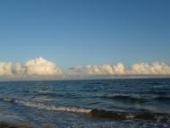 Челядиново - Последние фото