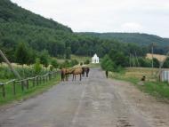 Козулька з panoramio.com