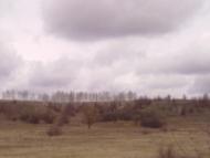 Чижикове з panoramio.com