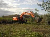 Новотимофіївка з panoramio.com