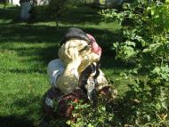 Зіньків - Останні фото