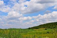Алтестове з panoramio.com