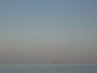 Берегове з panoramio.com