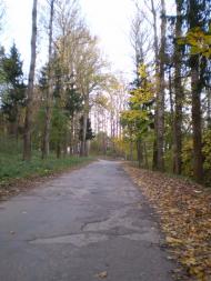 Біла з panoramio.com