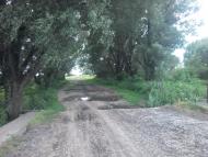 Терехівка з panoramio.com