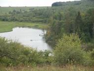 Чижівка - Останні фото