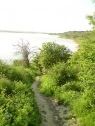 Суворове з panoramio.com