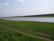 Ройлянка - Останні фото