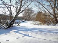 Великі Бірки - Останні фото