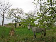 Селець з panoramio.com