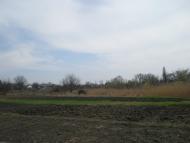 Міусинськ з panoramio.com (ч.2)